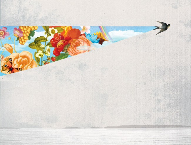 Stian_Hole_migration